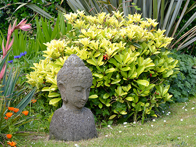 garden-statue.jpg